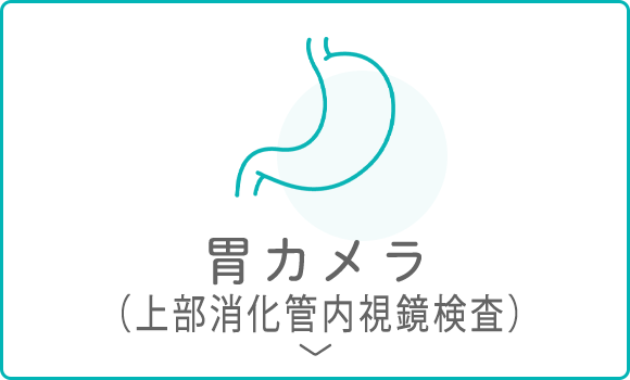胃カメラ