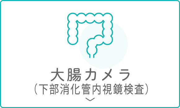 大腸カメラ